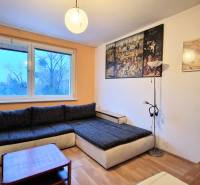 Studio apartment with a living area, corner sofa, wooden decor flooring, and decorative paintings on the wall.