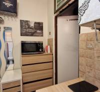 Studio apartment with a kitchenette, microwave, built-in wardrobe, and mirror.