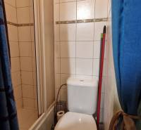 Bathroom in a studio apartment with a toilet and a shower corner, tiles with a decorative element.