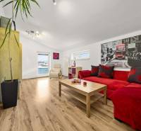 Living room with wood-patterned flooring, a red sofa, and a large plant.