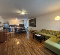 Living room with kitchen, green sofa, kitchen unit, and floor with wood decor.