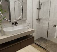 A bathroom in a 3-room apartment with a modern shower and a wooden decor floor.