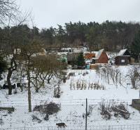 Cottages in Dubnica nad Váhom in Lieskovec, a snow-covered garden with fruit trees.
