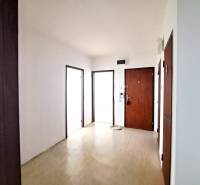 The entrance hall of a four-room apartment with a wood-patterned floor and wooden doors.