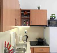 A kitchen in a holiday apartment with wooden decor, appliances, and decorations.