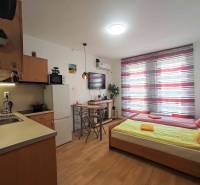 Recreational apartment with a cozy kitchen, bed, television, and floor with wooden decor.