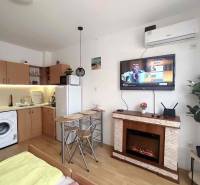 Recreational apartment with a kitchenette, built-in fireplace, and wood-patterned flooring.