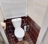 A bathroom in a 2-room apartment with brown tiles and a floor with a wood decor.