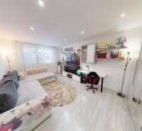Living room in a two-room apartment with a comfortable sofa and a wooden decor floor.