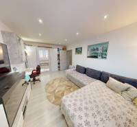 Living room in a 2-room apartment with carpets, a sofa, and a wooden decor floor.