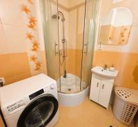 Bathroom with a washing machine, shower, sink, and orange tiles in a 2-room apartment.