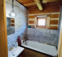 A bathroom in a cabin with a bathtub, a sink, wooden walls, and a simple light.