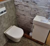 A bathroom in a cabin with a toilet and a sink, complemented by a wall with a wooden decor.