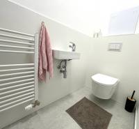 Bathroom in a 3-room apartment with a white sink, toilet, and ladder radiator.