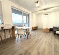 Living room in a 3-room apartment with a wooden decor floor and modern furniture.