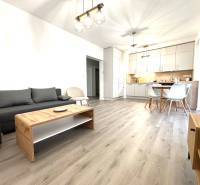 Living room with kitchen in a 3-room apartment, wooden decor flooring, bright interior.