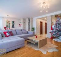 Living room of a family house with a couch, Christmas tree, and wooden decor flooring.