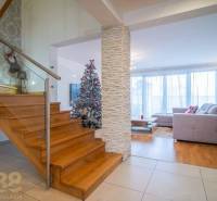 In the family house, you can see stairs, a Christmas tree, and a floor with a wooden decor.
