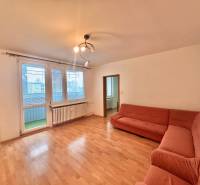 Living room with a sofa, wood-patterned floor, and a view of the balcony.