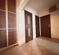 A hallway in a 3-room apartment with dark doors and a built-in wardrobe.