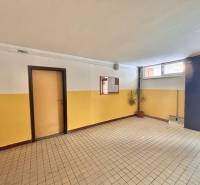 A hallway in a 3-room apartment building with tiles, doors, and a plant in the corner.