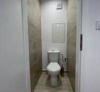 A minimalist toilet in a 3-room apartment with a wooden decor floor.