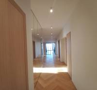 Hallway in a 4-room apartment with a wooden decor floor and a mirror.