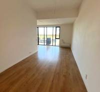 Living room with wood-patterned flooring in a 2-room apartment, glass wall.