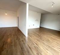 Spacious 2-room apartment with wood-patterned flooring and white walls.