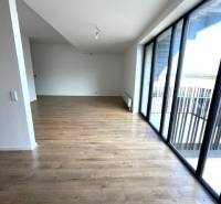 Living room in a two-room apartment with wood-patterned flooring and large windows.