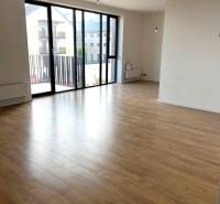 Spacious living room in a 2-room apartment with wood-patterned flooring and large windows.