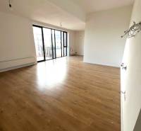 Spacious living room with wood-patterned flooring in a 2-room apartment, large glazing.