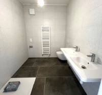 Bathroom with large-format tiles, sink, toilet, and ladder radiator in a 2-room apartment.