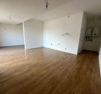 Interior of a 2-room apartment with wood-patterned flooring, white walls, open space.