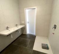 A bathroom with a double sink and a shower in a two-room apartment. Clean design.