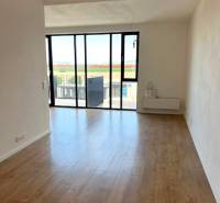 A bright living room with large windows and wood-patterned flooring in a two-room apartment.