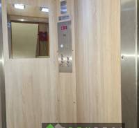 An elevator with a wooden decor floor and a mirror in a 3-room apartment.