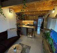 Living room with brick cladding, kitchenette, and wooden decor flooring. Warehouses and halls.