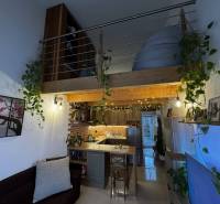 A kitchen with a brick wall, hanging plants, wood-patterned flooring, and a loft bed.