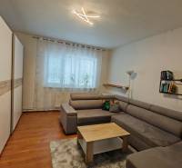 Living room in a family house with a sofa, a bookshelf, and a wooden decor floor.