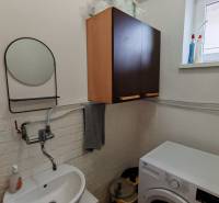 Bathroom with a sink, washing machine, and cabinet, floor with wooden decor.