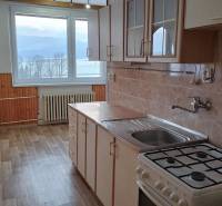 A kitchen in a 2-room apartment with a wooden decor floor and a view of nature.