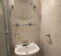 A bathroom with a sink, mirror, and shower in a 2-room apartment.
