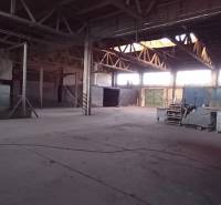 Warehouse and hall space in Trnava on Coburgova Street with a spacious interior.