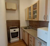 Kitchen in a studio apartment with a countertop and cabinets, floor with wood decor.