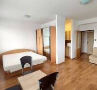 A one-room apartment with a wooden decor floor, a bed, a sofa, and a wardrobe.