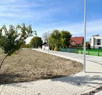 Land in Malinovo on Malinovo Street with a sidewalk, trees, and nearby houses. Plots - residential.