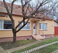 A family house on the street in Nová Ves nad Žitavou with a red roof and a tree in front.