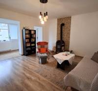 A room in a family house with a fireplace stove, a sofa, a bookshelf, and a wooden decor floor.