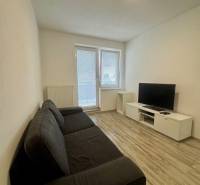 Living room in a two-room apartment with a sofa, television, and wooden decor flooring.